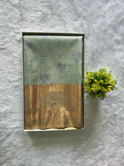 Ice Mint Green with Copper Zari Border - 1207